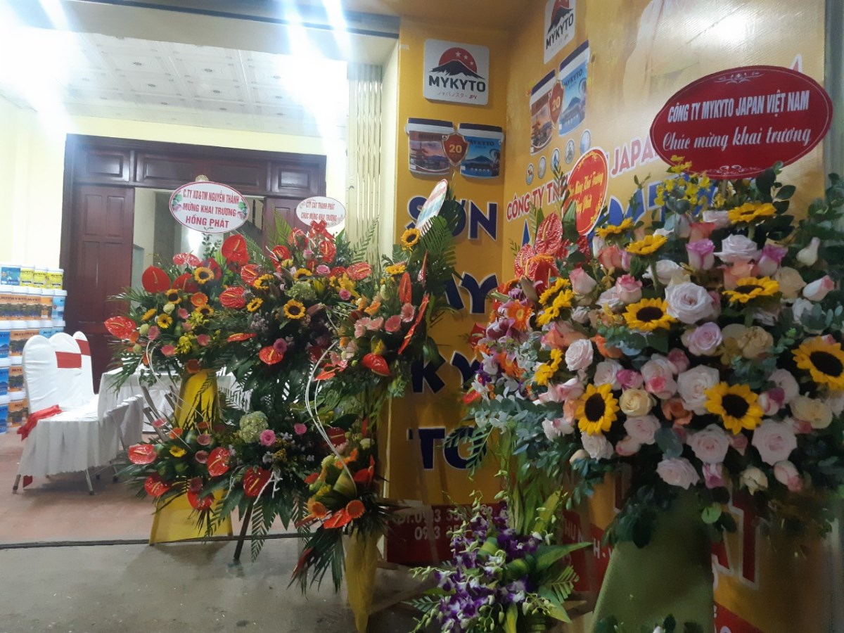 Đại lý Sơn MYKYTO tại Nam ĐỊnh